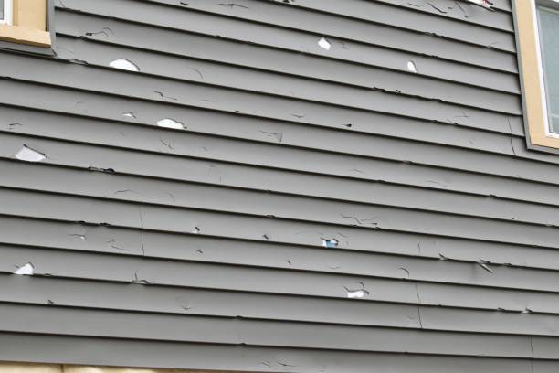 Best Historical Building Siding Restoration  in East Merrimack, NH