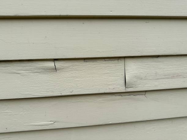 Best Insulated Siding Installation  in East Merrimack, NH